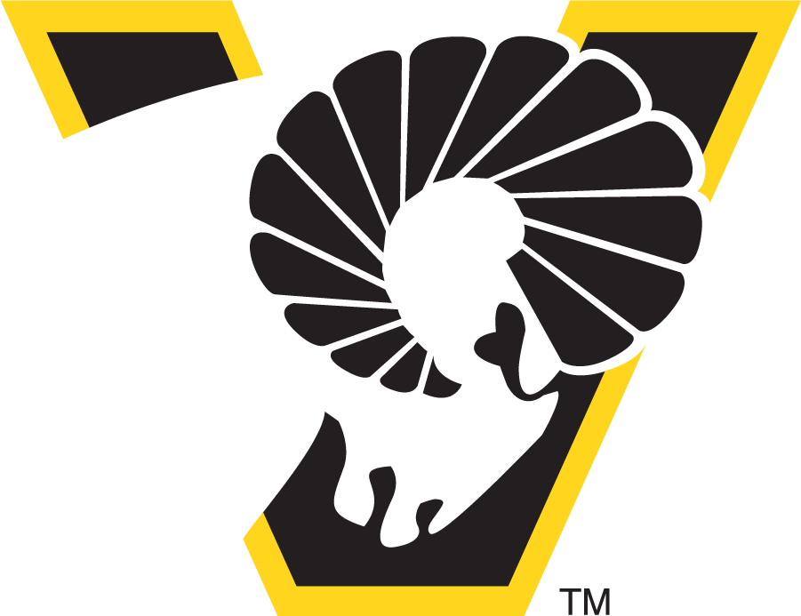 Virginia Commonwealth Rams 1989-2003 Primary Logo DIY iron on transfer (heat transfer)